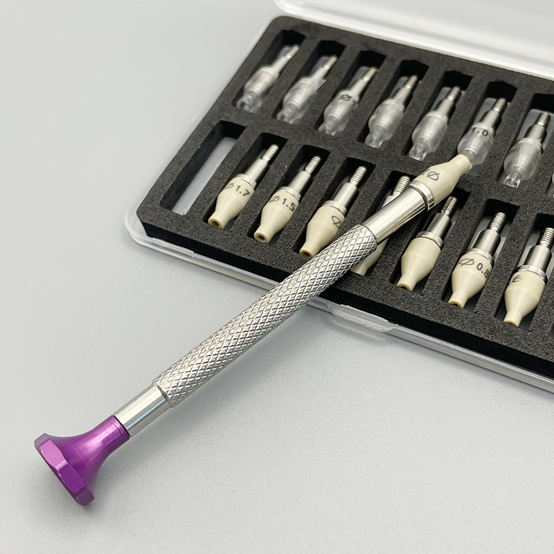 Set di 20 Pezzi per l'Installa - Watchmaker Screwdriver recensione e prezzo